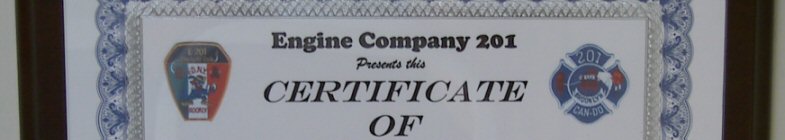 Engine Company 201 Certificate of Appreciation - presented to Pilo Arts Day Spa & Salon